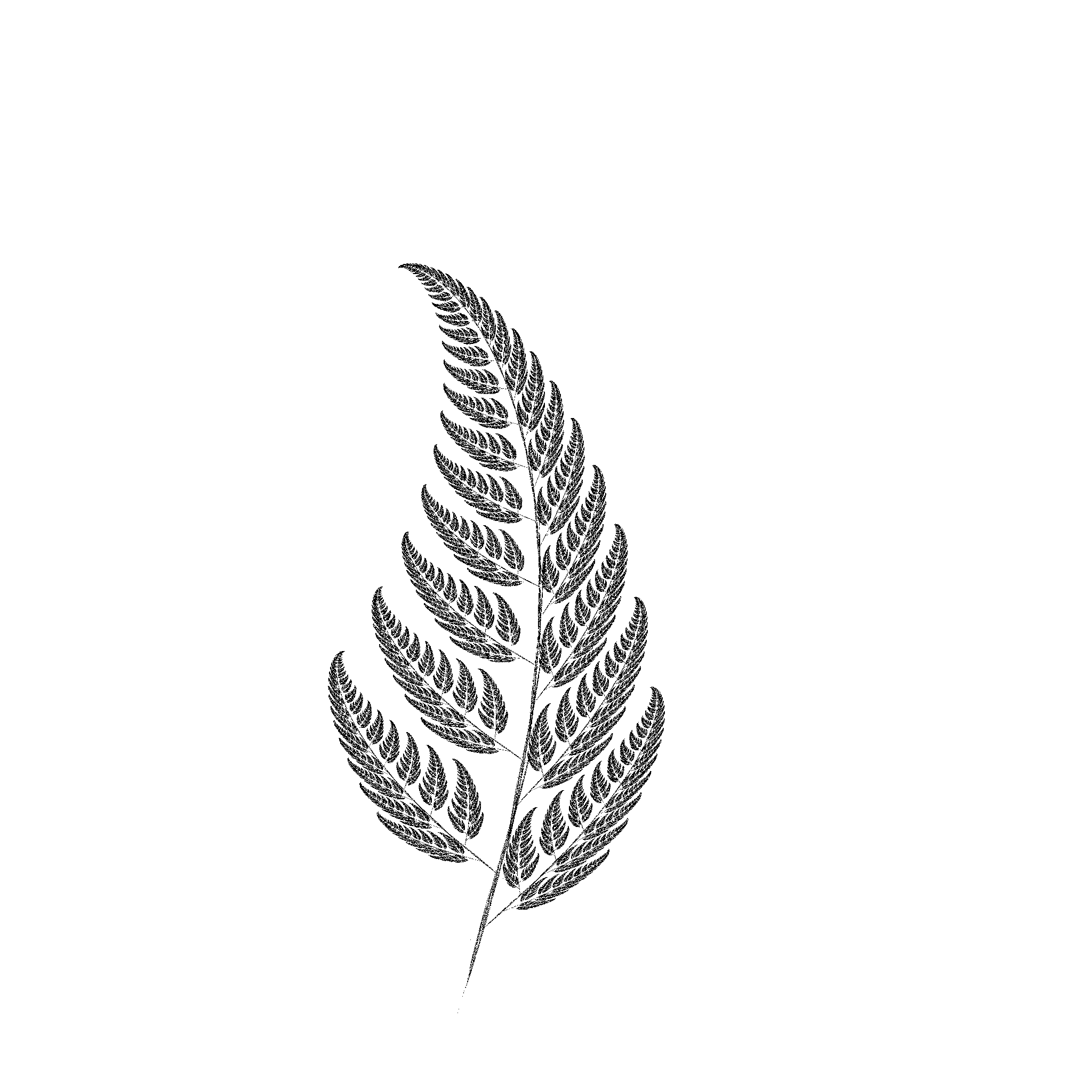 lady fern coloring pages - photo #39