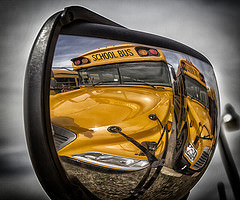 Kool Kats Photo of school bus reflection