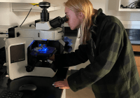Student researched Grace Bader looking into the lens of a microscope