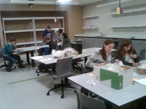 Lab Overview