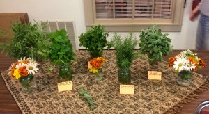 Herbs from workshop 