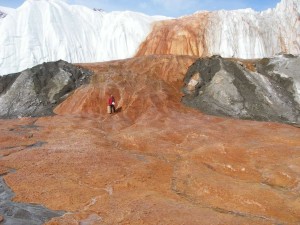 Dr. Jill Mikucki (UT-Knoxville) standing on the snout of the Taylor Glacier at Blood Falls (photo courtesy of Jill Mikucki)