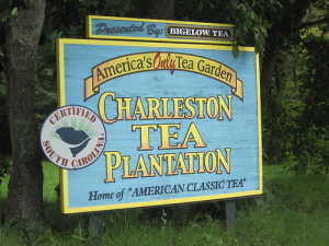 tea plantation sign