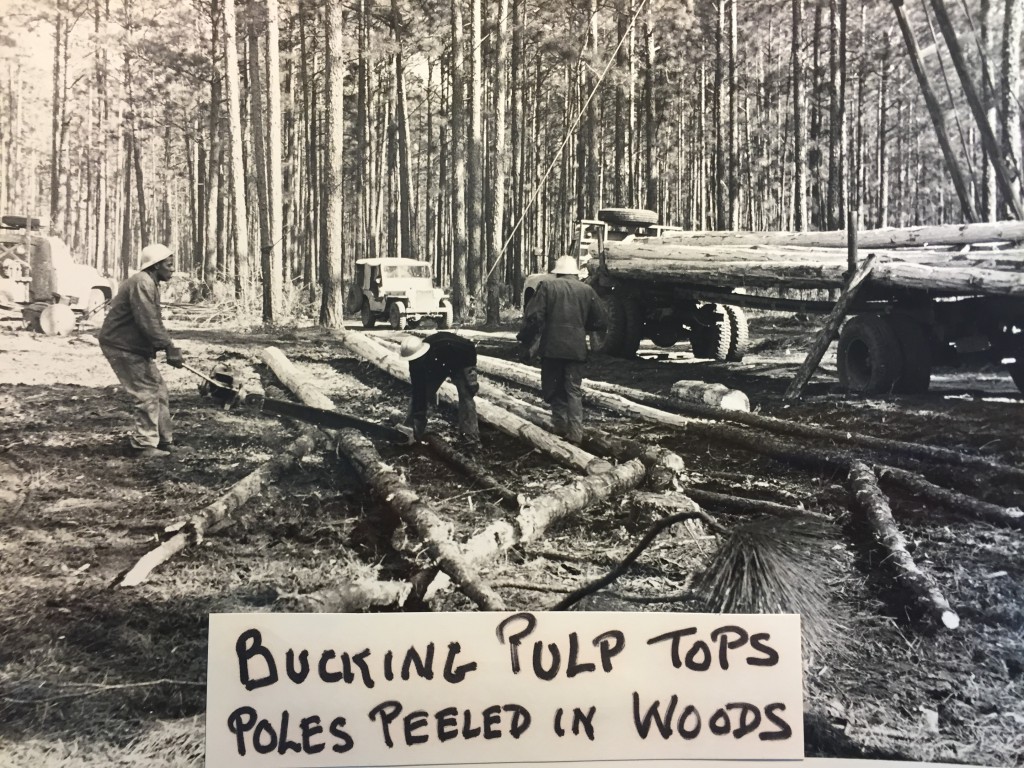 "Bucking pulp tops - poles peeled in woods," undated 1955-1956