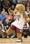 Clyde the Cougar from College of Charleston Athletics