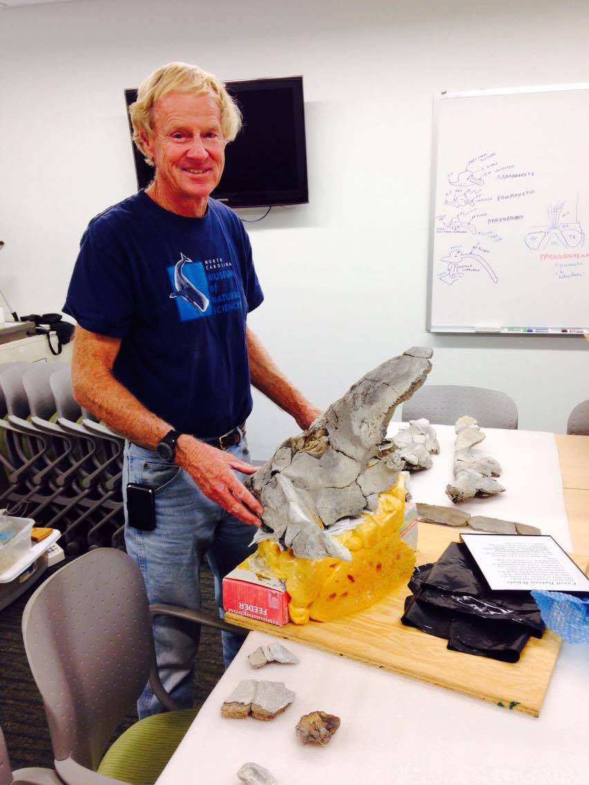 Lee Cone with the skull he excavated and donated to CCNHM. Photo by R. Boessenecker