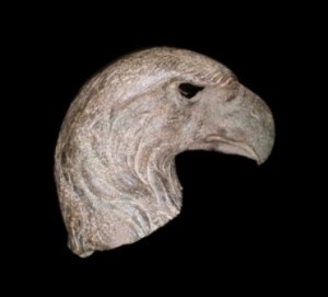 Head-of-Eagle-Firenze-Museo-Archeologico-Nazionale-300x272