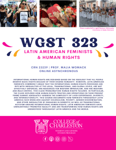 Latin American Feminists & Human Rights